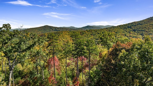 view of mountain feature