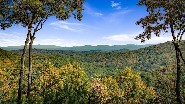 view of mountain feature