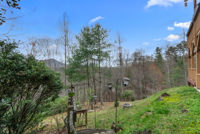 view of yard with a mountain view