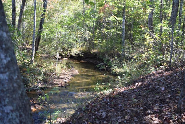 32.98AC Zion Hill Rd, Ellijay GA, 30540 land for sale