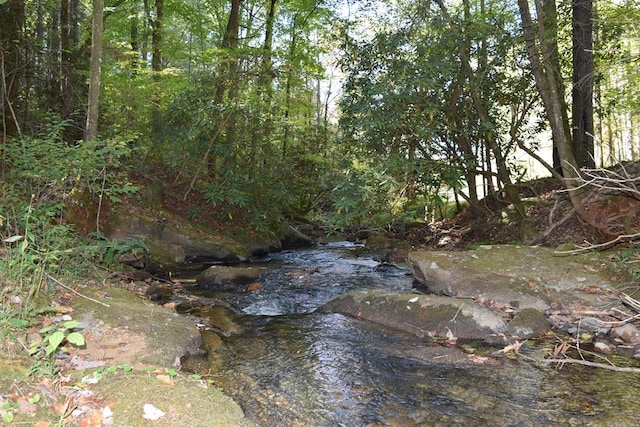 32.98AC Zion Hill Rd, Ellijay, GA 30540