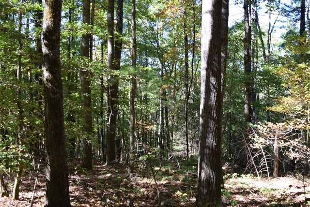 32.98AC Zion Hill Rd, Ellijay, GA 30540