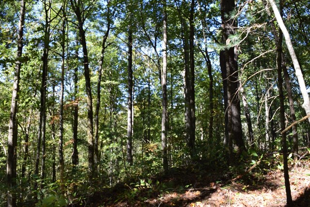 32.98AC Zion Hill Rd, Ellijay, GA 30540