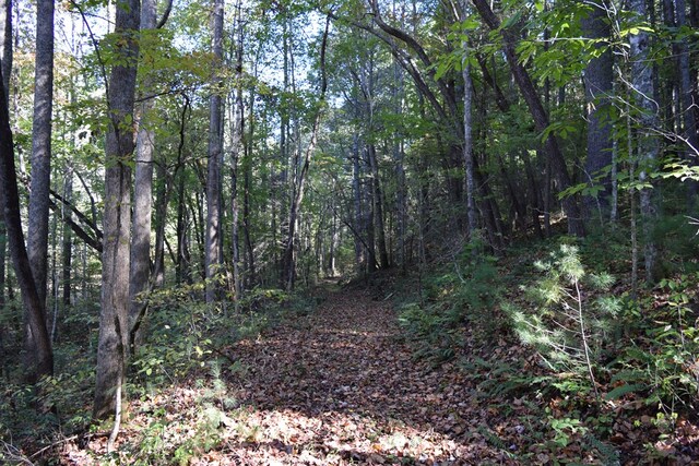 32.98AC Zion Hill Rd, Ellijay, GA 30540