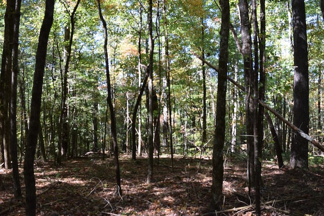 Listing photo 2 for 32.98AC Zion Hill Rd, Ellijay GA 30540