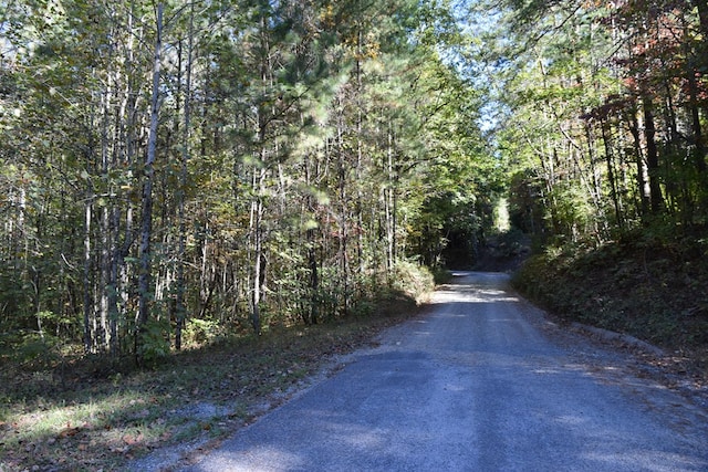 32.98AC Zion Hill Rd, Ellijay, GA 30540