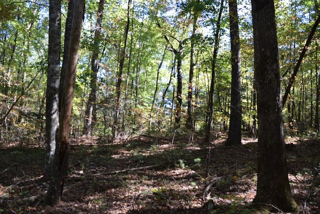 Listing photo 3 for 32.98AC Zion Hill Rd, Ellijay GA 30540