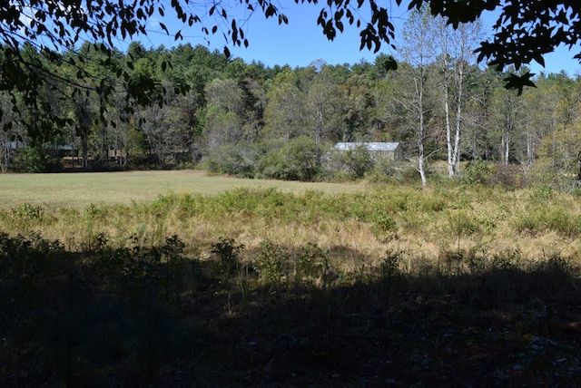 32.98AC Zion Hill Rd, Ellijay, GA 30540