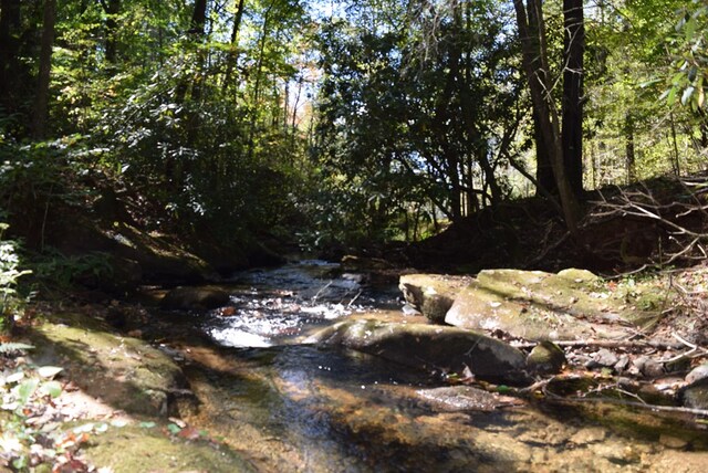 32.98AC Zion Hill Rd, Ellijay, GA 30540