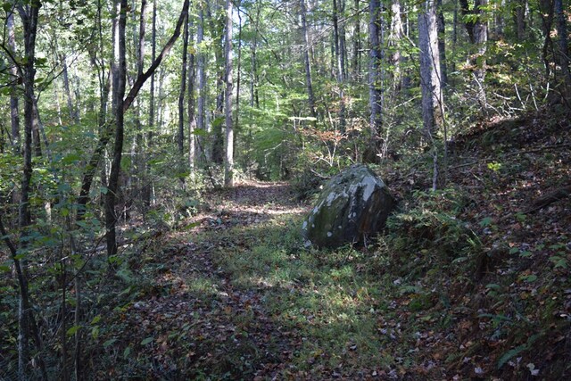 32.98AC Zion Hill Rd, Ellijay, GA 30540