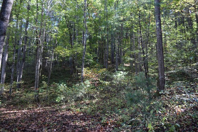 32.98AC Zion Hill Rd, Ellijay, GA 30540