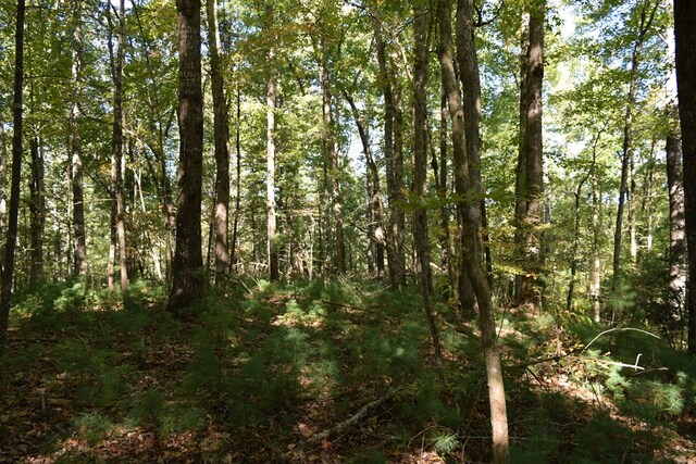 32.98AC Zion Hill Rd, Ellijay, GA 30540