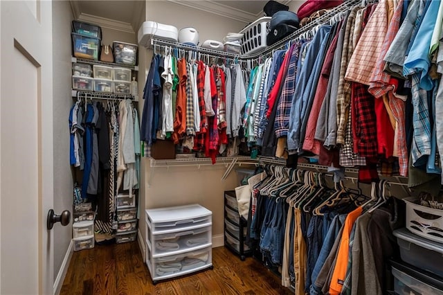 walk in closet with dark wood-style floors