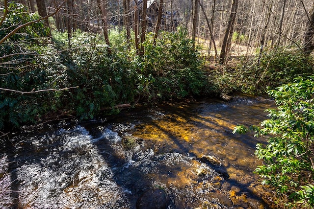 Listing photo 2 for TRACT2 Stanley Creek Rd, Blue Ridge GA 30513