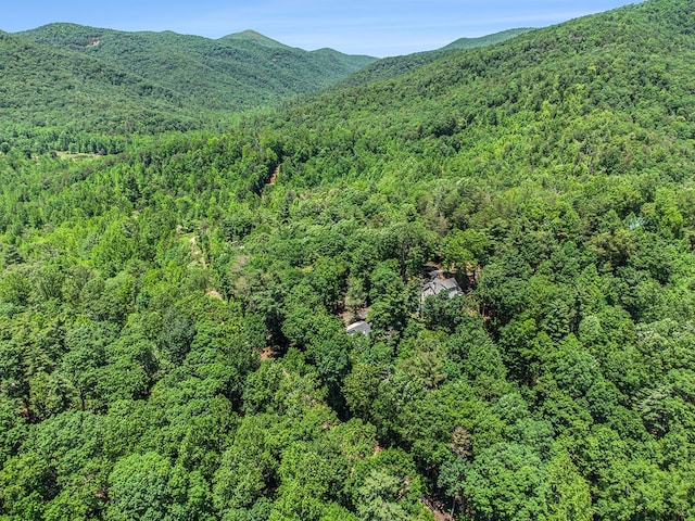 147 Hester Gap Rd, Cleveland, GA 30528 - mountain view with a forest
