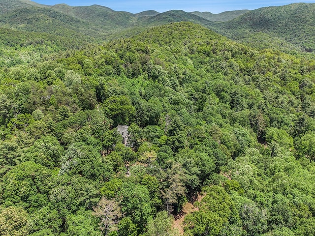 147 Hester Gap Rd, Cleveland, GA 30528 - view of mountain background with a forest