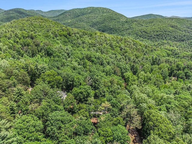 147 Hester Gap Rd, Cleveland, GA 30528 - mountain view with a heavily wooded area