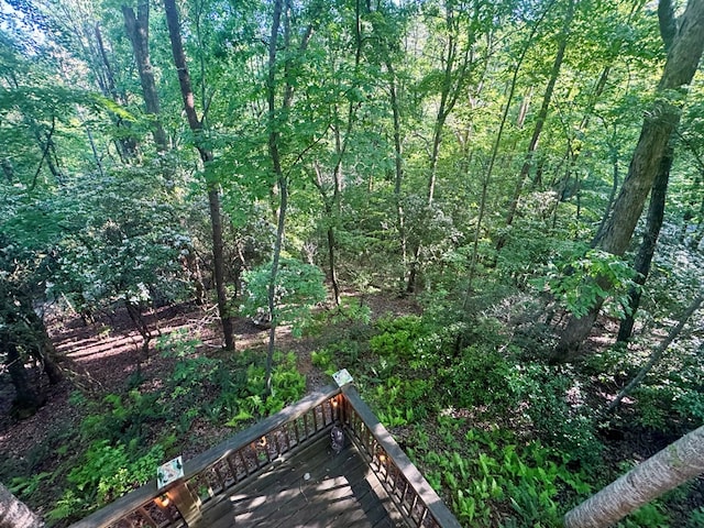 135 Tomahawk Trl, Blue Ridge, GA 30513 - view of yard with a view of trees