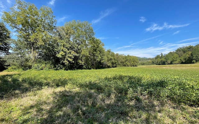 37AC Jarrett Rd, Hayesville NC, 28904 land for sale