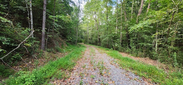 Listing photo 2 for 22.65AC Letch Dr, Ellijay GA 30540