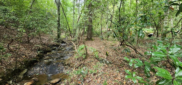 Listing photo 3 for 22.65AC Letch Dr, Ellijay GA 30540