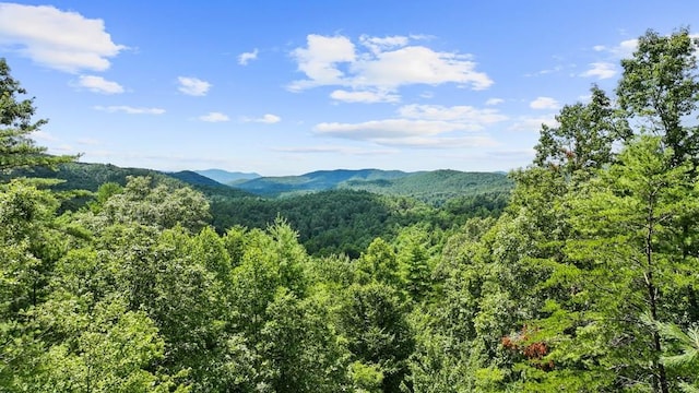 property view of mountains