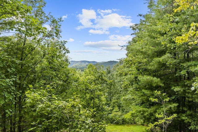 property view of mountains