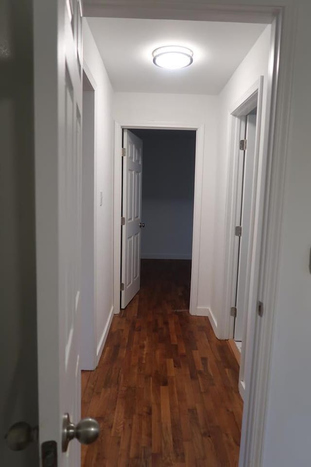 hall featuring dark wood-type flooring