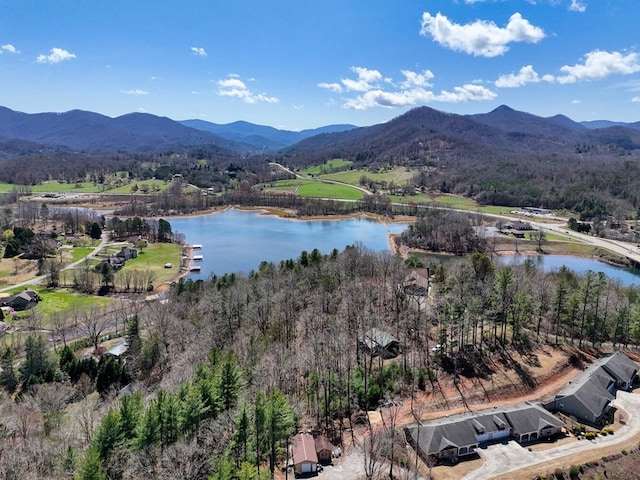 drone / aerial view with a water and mountain view