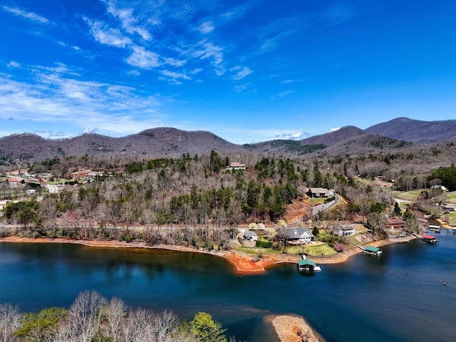 birds eye view of property featuring a water and mountain view