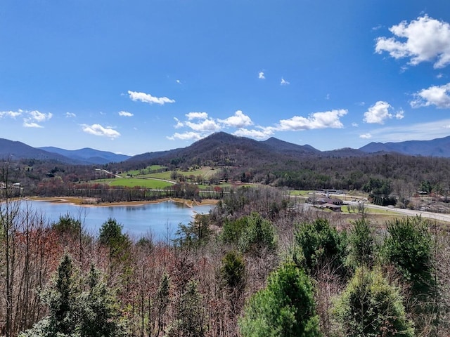 property view of mountains with a water view