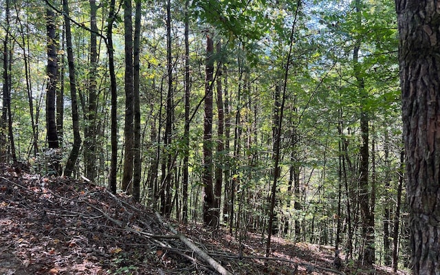 5ACRES Conasauga Dr, Ellijay GA, 30540 land for sale