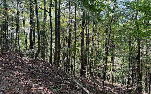 Listing photo 2 for 5ACRES Conasauga Dr, Ellijay GA 30540