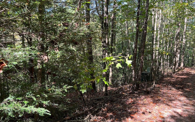 Listing photo 3 for 5ACRES Conasauga Dr, Ellijay GA 30540