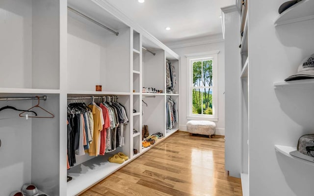 spacious closet with light hardwood / wood-style flooring