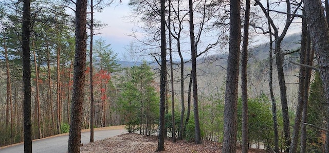 34 Wilderness Creek Way, Murphy NC, 28906 land for sale