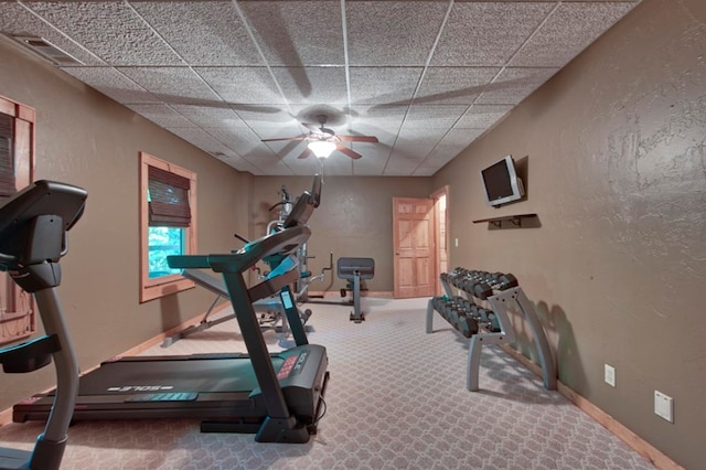 exercise area featuring baseboards, carpet floors, a ceiling fan, a textured wall, and a paneled ceiling