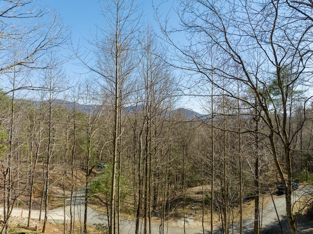 LOT508 Chicasaw Dr, Ellijay GA, 30540 land for sale