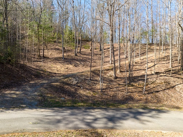 Listing photo 3 for LOT508 Chicasaw Dr, Ellijay GA 30540