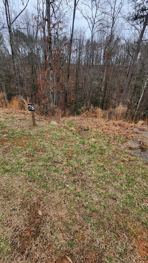 Listing photo 2 for LOT78 Jakes Landing Way, Ellijay GA 30540