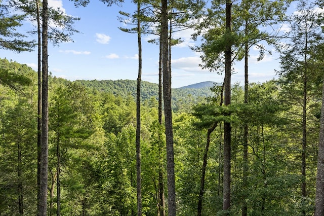 view of mountain feature