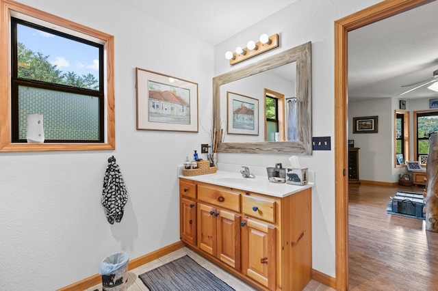 bathroom featuring vanity and hardwood / wood-style floors