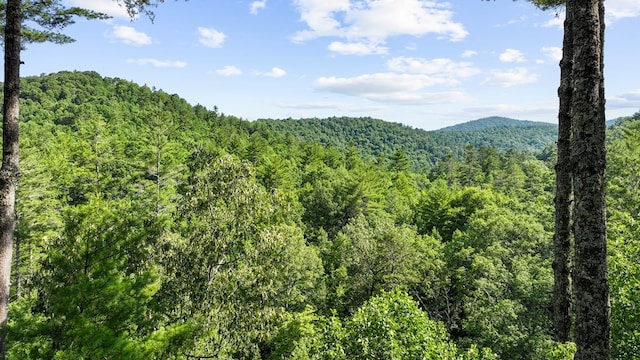 property view of mountains