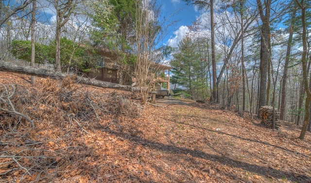 641/638 Timberwood Hills Rd, Murphy, NC 28906 - view of yard