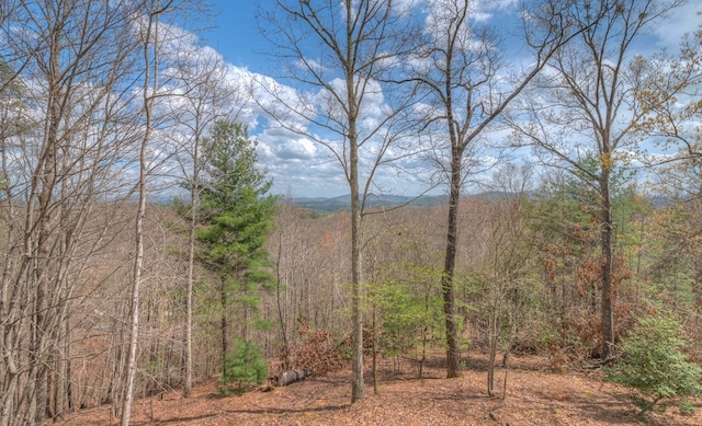 641/638 Timberwood Hills Rd, Murphy, NC 28906 - view of landscape with a forest view
