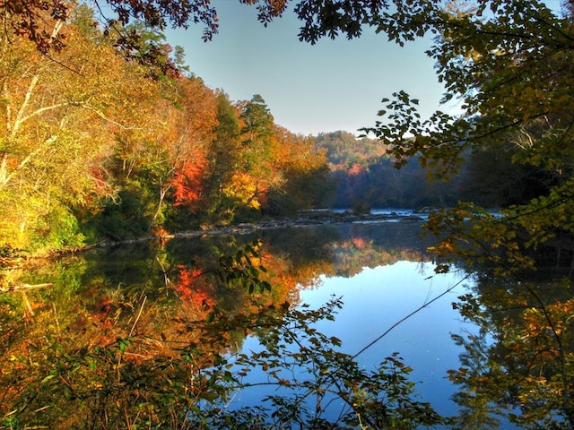 view of water feature featuring a forest view