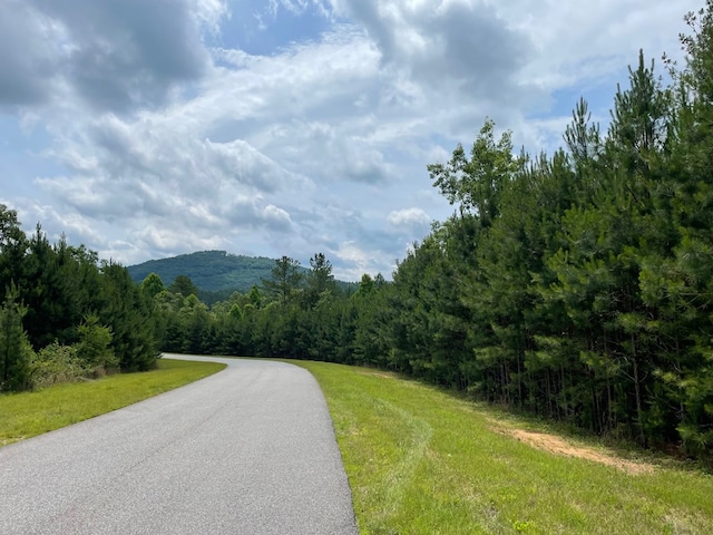 Listing photo 3 for LOT41 Northshore, Blairsville GA 30512