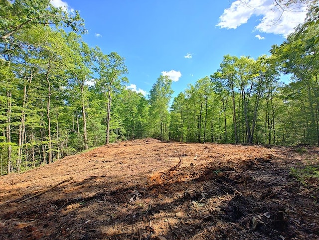 LOT3 Megan Trace Dr, Turtletown, TN 37391