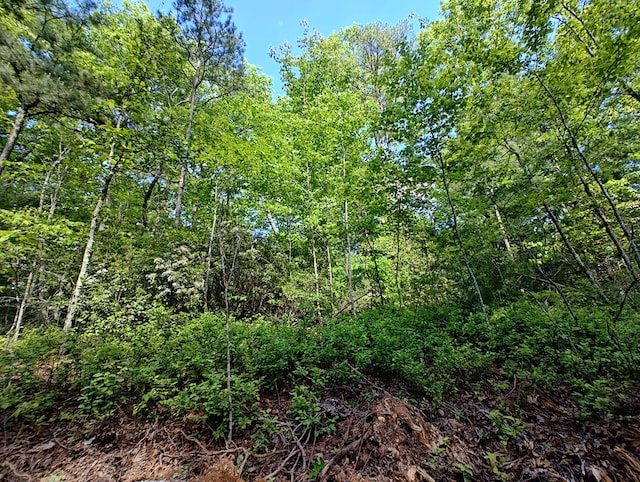LOT3 Megan Trace Dr, Turtletown, TN 37391