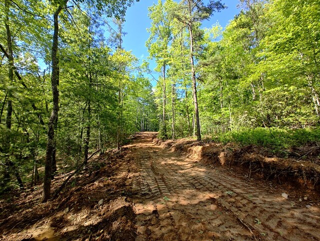 LOT3 Megan Trace Dr, Turtletown, TN 37391